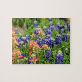 Quebra-cabeça Flores silvestres do Texas Bluebonnets e Red Paint