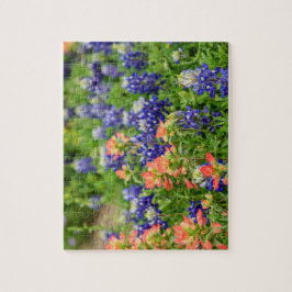 Quebra-cabeça Flores silvestres do Texas Bluebonnets e Red Paint