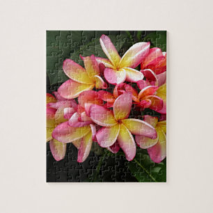 Quebra-cabeça Flores Tropicais de Plumeria Rosa e Amarelo
