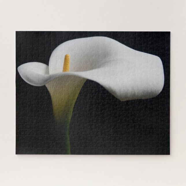 Quebra-cabeça Flores | White Calla Lily (Horizontal)