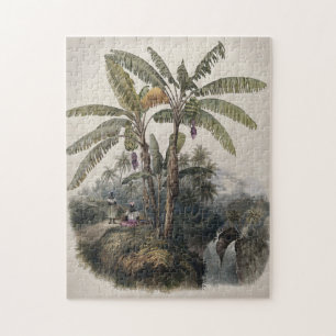 Quebra-cabeça Floresta Antiga de Bananeiras Tropicais Bota Vin