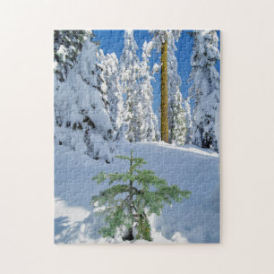 Quebra-cabeça Floresta Coberta de Neve em Oregon
