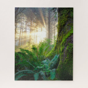 Quebra-cabeça Floresta da Costa Pacífica, Oregon