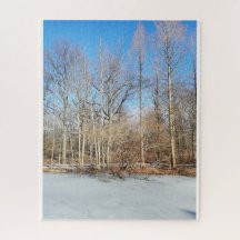 Floresta de inverno com neve no dia ensolarado