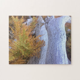 Quebra-cabeça Floresta de outono