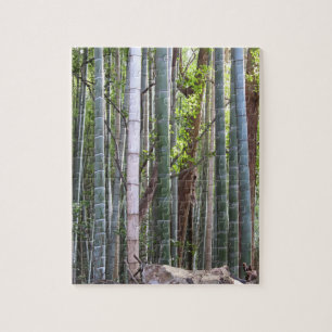 Quebra-cabeça Floresta gigante japonesa de bambu, Sagano, Kyoto,