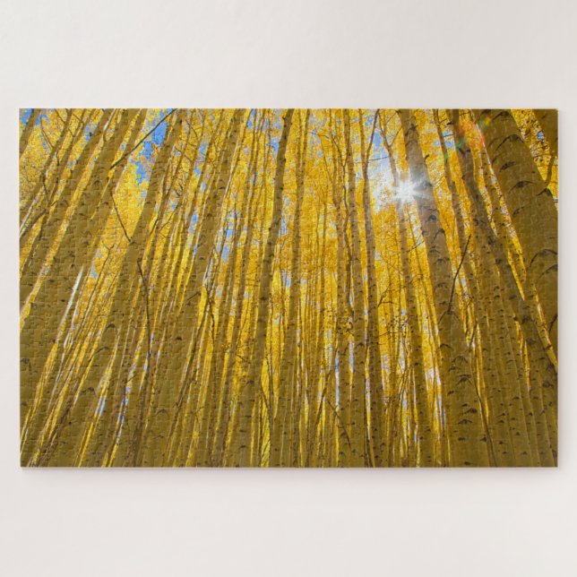 Quebra-cabeça Floresta Nacional do Rio Branco (Horizontal)