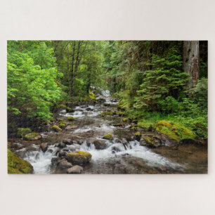 Quebra-cabeça Floresta Nacional Siuslaw Sweet Creek