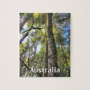 Quebra-cabeça Floresta Tropical Australiana Eucalyptus Gum Trees