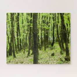 Quebra-cabeça Floresta Verde