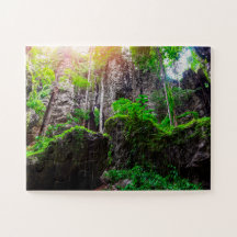 Floresta Vine Bonita