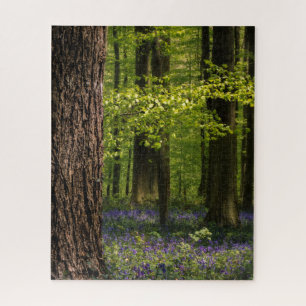 Quebra-cabeça Florestas Bluebells na Bélgica