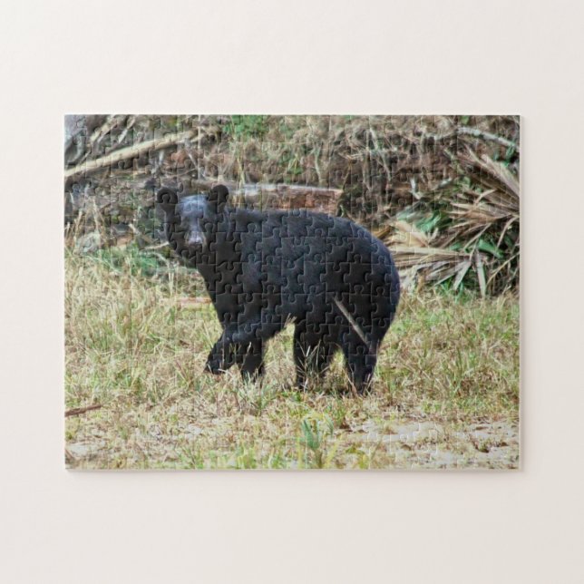 Quebra-cabeça Florida Black Bear (Horizontal)