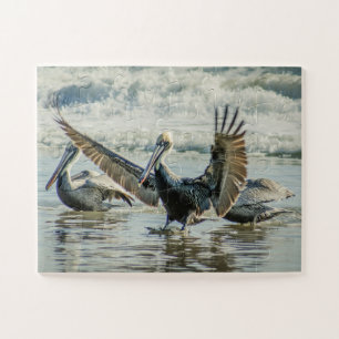 Quebra-cabeça Florida Pelicans Birds Nature Beach Oversize