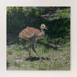 Quebra-cabeça Flórida Sandhill Crane Juvenile Baby Bird Picture
