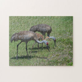Quebra-cabeça Flórida Sandhill Cranes Caminhando Em Campo Verde