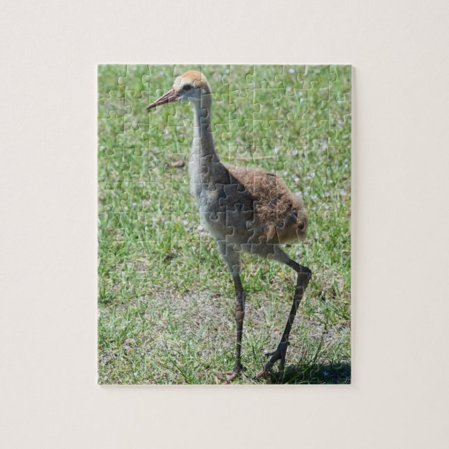 Quebra-cabeça Flórida Sandhill Cranes Em Fotografia De Campo Ver (Vertical)