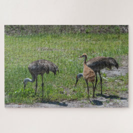 Quebra-cabeça Flórida Sandhill Cranes Em Fotografia De Campo Ver