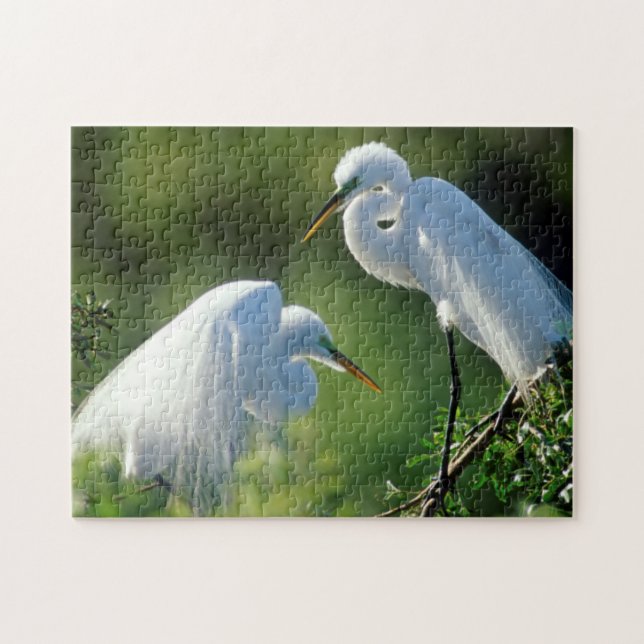 Quebra-cabeça Flórida, Veneza, Santuário Audubon, Garça-branca-g (Horizontal)
