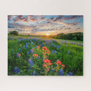 Quebra-cabeça Flowers Texas Bluebonnets & Indian Paintbrush