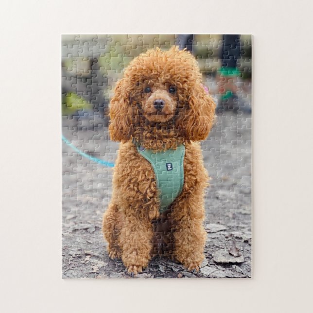 Quebra-cabeça Fluffy Brown Poodle Puppy Dog (Vertical)