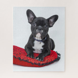 Quebra-cabeça Folha de Cachorro Preto, em Branco, Personalizáve