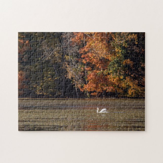 Quebra-cabeça Folhagem de Cisne e Queda (Horizontal)