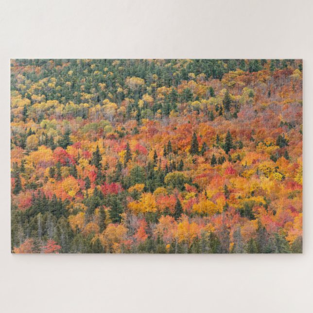 Quebra-cabeça Folhagem de Outono | Península de Keweenaw, Michig (Horizontal)