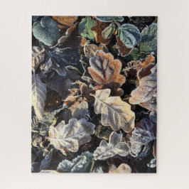 Quebra-cabeça Folhas congeladas