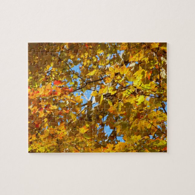 Quebra-cabeça Folhas de Bordo Amarelo e Céu Azul (Horizontal)