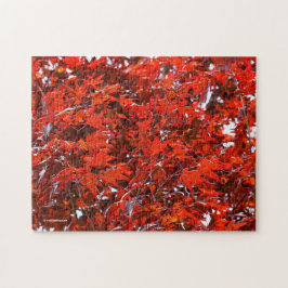 Quebra-cabeça Folhas de Mapeamento Vermelho