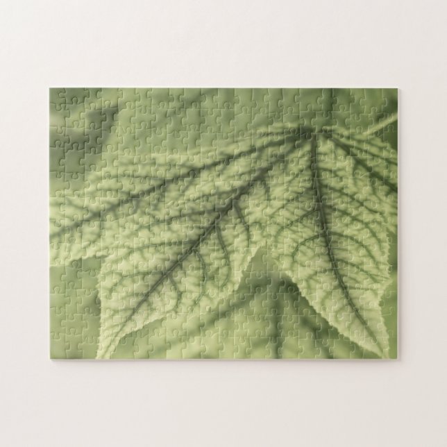Quebra-cabeça Folhas de Maple (Horizontal)