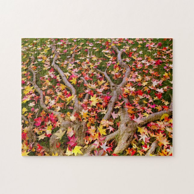 Quebra-cabeça Folhas de Maple (Horizontal)