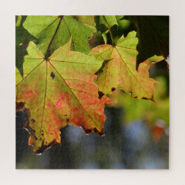 Quebra-cabeça Folhas de outono coloridas