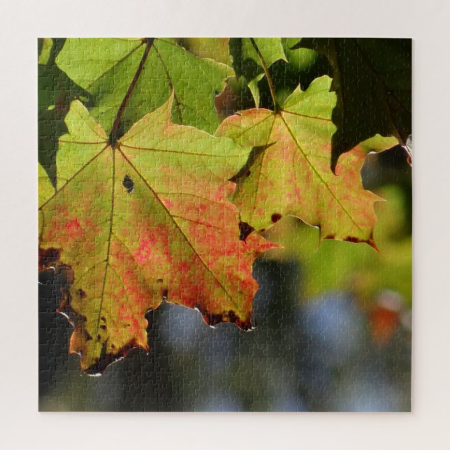 Quebra-cabeça Folhas de outono coloridas (Vertical)