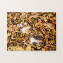 Quebra-cabeça Fora das Folhas de Outono Cai no Tabby Calico Cat