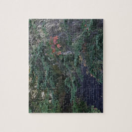 Quebra-cabeça Forest Steps in Early Autumn