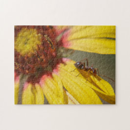 Quebra-cabeça formiga