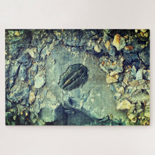 Quebra-cabeça Fóssil