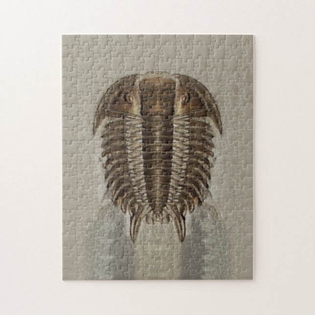 Quebra-cabeça fóssil de Trilobite (Vertical)