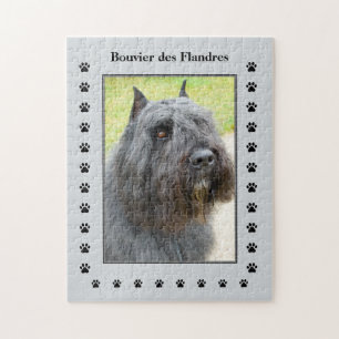 Quebra-cabeça Foto Bouvier des Flandres