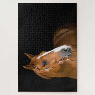 Quebra-cabeça Foto Cavalo Quarto de Milha Branco Marrom Preto