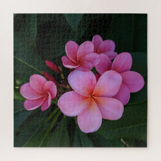 Quebra-cabeça Foto da Flor Havaiana Plumeria Rosa