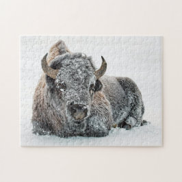 Quebra-cabeça Foto da Neve de Buffalo