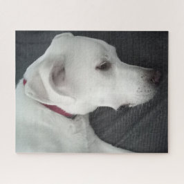 Quebra-cabeça Foto de Bela Cinza e Branco de Cachorro