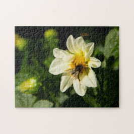 Quebra-cabeça Foto de Bumblebee e dahlia branca