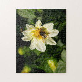 Quebra-cabeça Foto de Bumblebee e dahlia branca