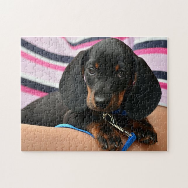 Quebra-cabeça Foto de cachorrinho Dachshund fofo (Horizontal)