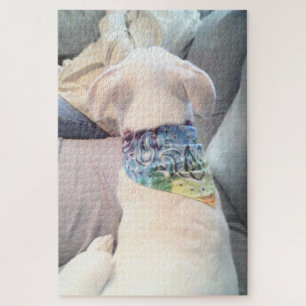 Quebra-cabeça Foto de Cachorro Branco Bonito Vestindo Scarf Colo
