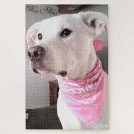 Quebra-cabeça Foto de Cachorro Branco-Bonito Vestindo Scarf Rosa